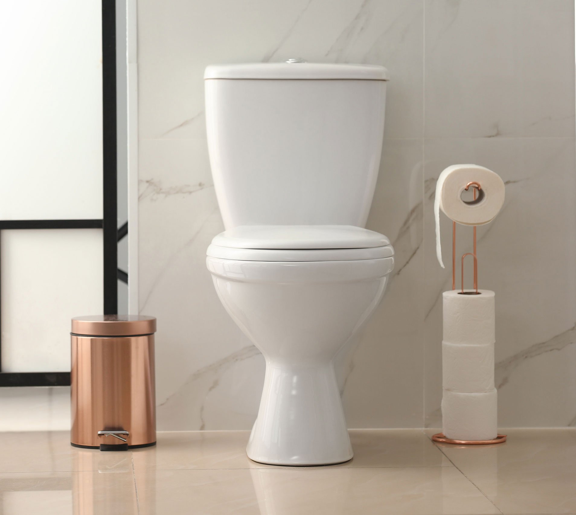 Materiales de construcción (Inodoro)